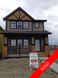 SKYVIEW RANCH Residential Detached Single Family for sale: 3 bedroom Stainless Steel Appliances, Granite Countertop, Tile Backsplash, Dark Hardwood Floors, Plush Carpet 1,523 sq.ft. (Listed 2012-07-25)