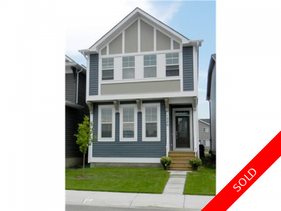 NEW BRIGHTON Residential Detached Single Family: 3 bedroom