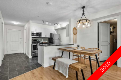 Albert Park/Radisson Heights Apartment for sale:  3 bedroom 908.72 sq.ft. (Listed 2025-08-30)